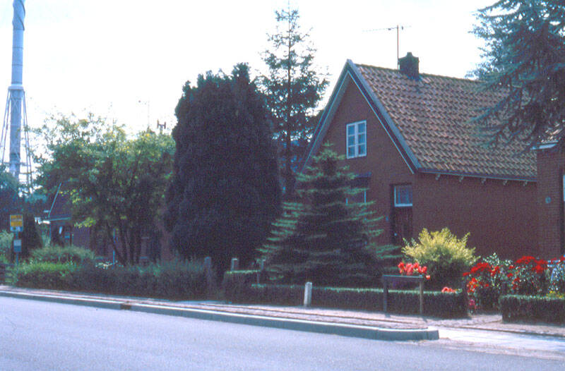 Damsingel 20 Sumar