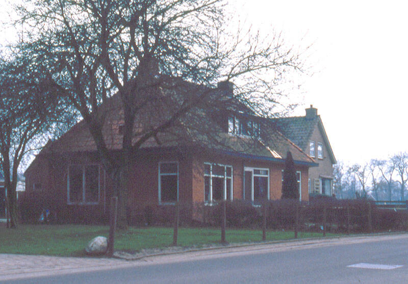 Damsingel 37 Sumar