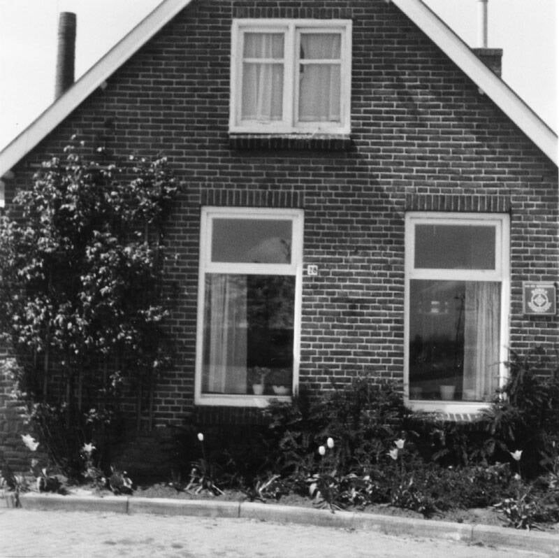 Damsingel 28 Sumar