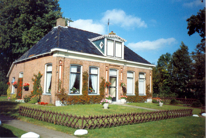 Damsingel 38 Sumar