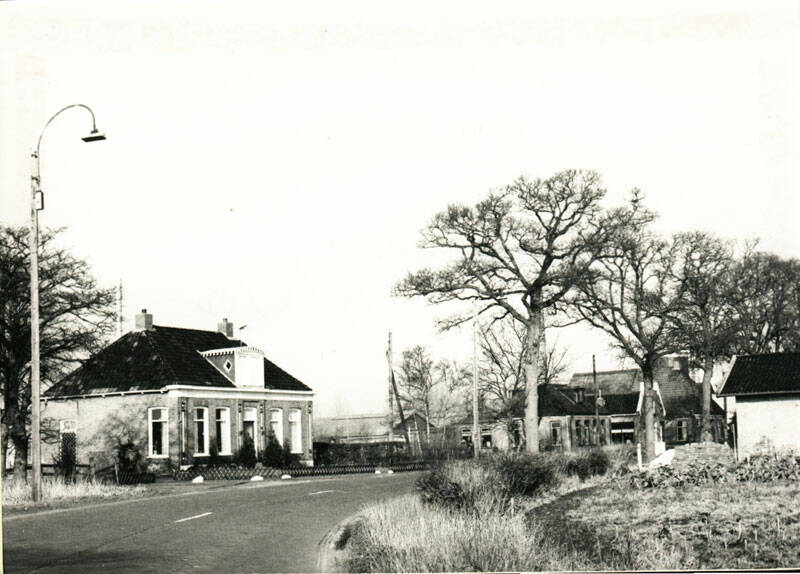 Damsingel 38 Sumar