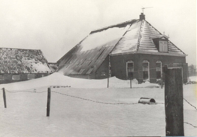 Greate Buorren 61 Sumar