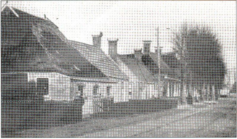 Greate Buorren Sumar