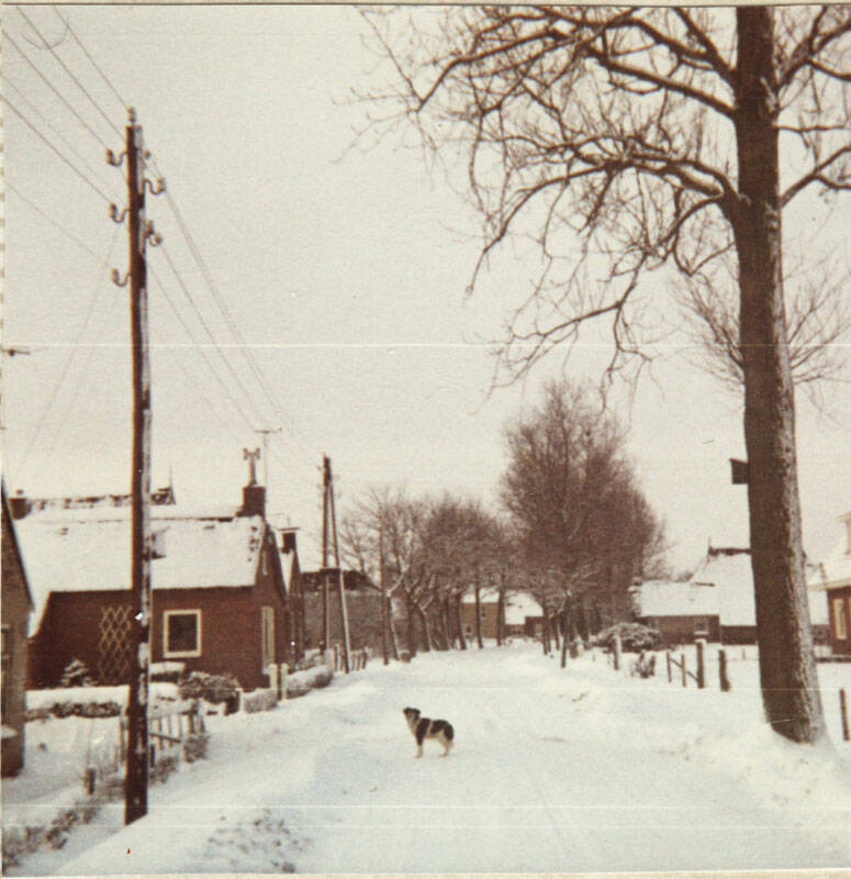 Harsteweo. de Harste (Sumar)