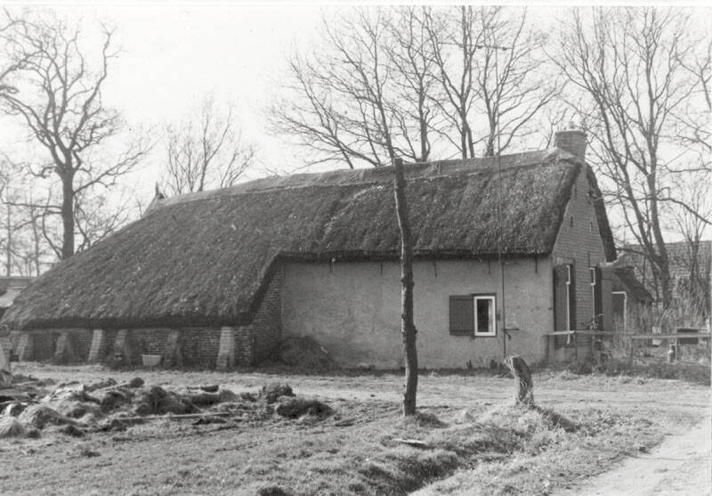 Heidereed 5 Sumarreheide