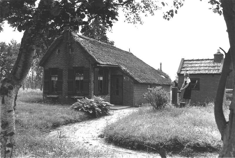 Heidereed 7 Sumarreheide