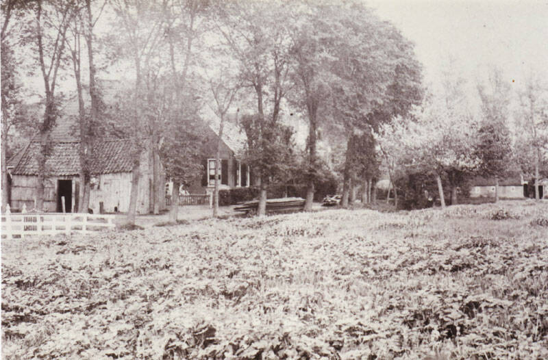 Master de Vrieswei Sumar