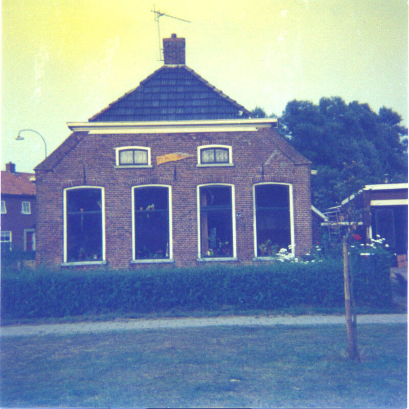 Damsingel 11 Sumar