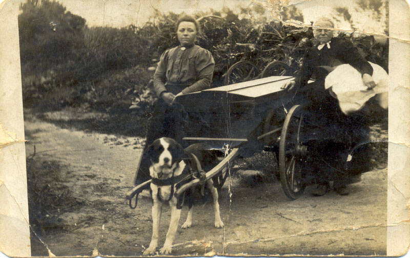 Man en vrouw met hondenkar.