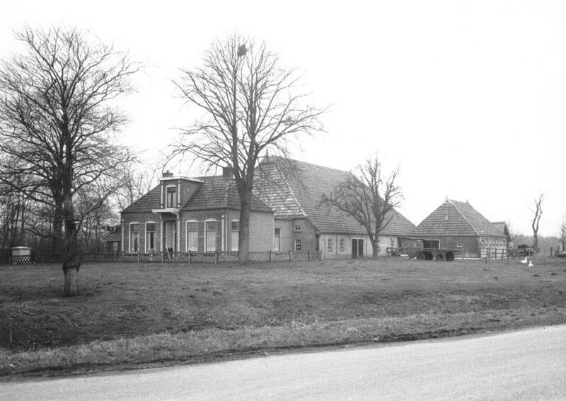 Lânsbuorren 11 Sumar