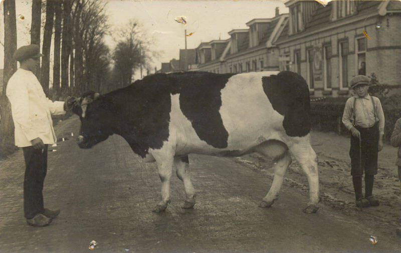 Slager Wopke van den Berg