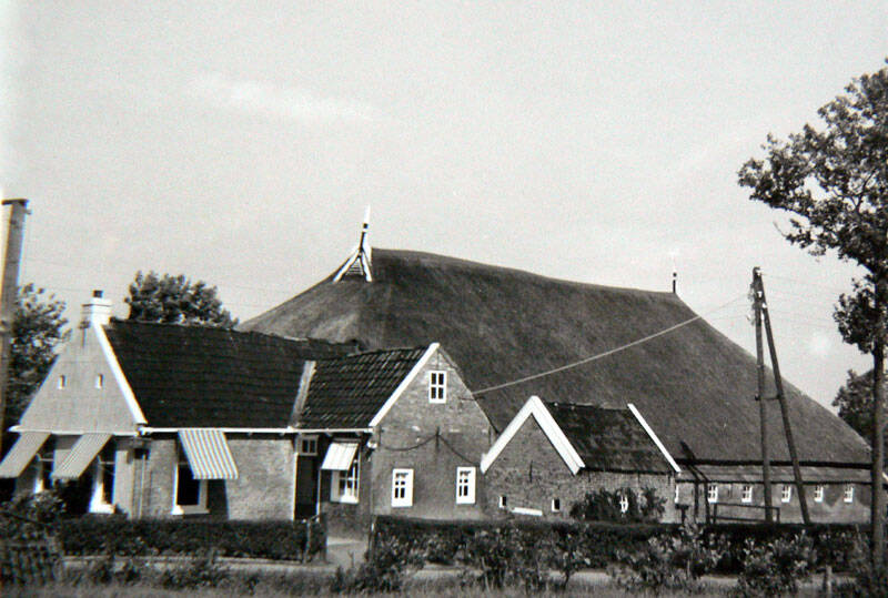 Jelke Sjoerdsloane 2 Sumar