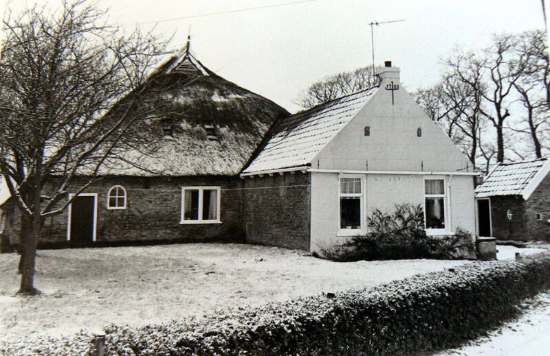 Jelke Sjoerdsloane 2 Sumar