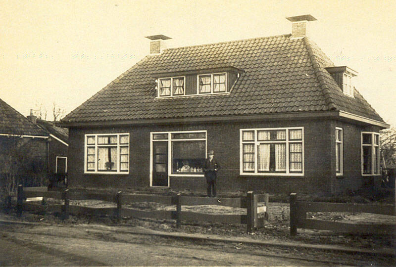 Damsingel 37 Sumar