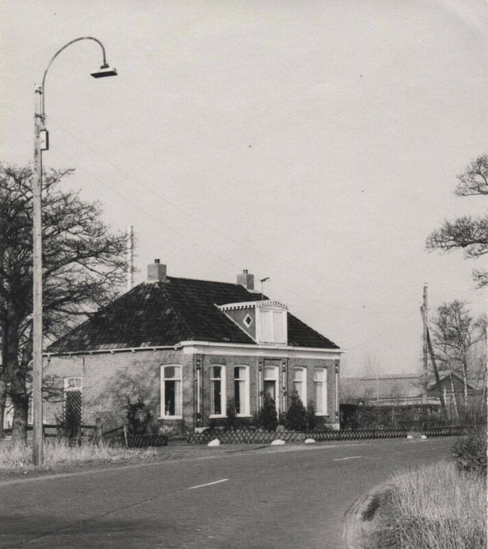 Damsingel 38 Sumar