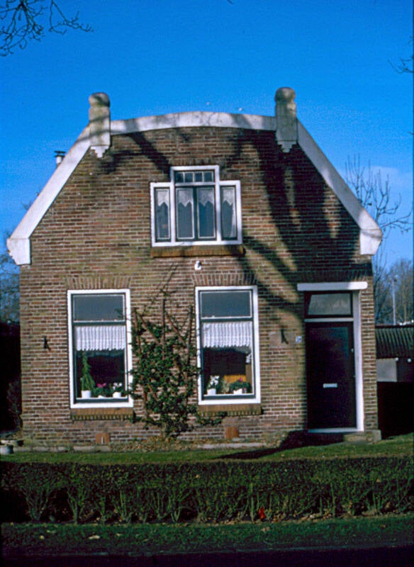 Damsingel 34 Sumar