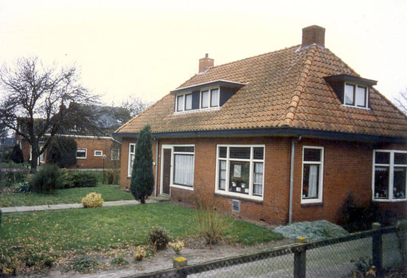 Damsingel 37 Sumar
