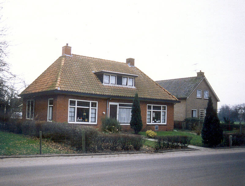 Damsingel 37 Sumar