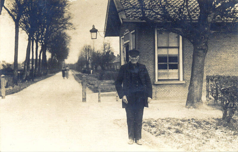 Damsingel 39 Sumar