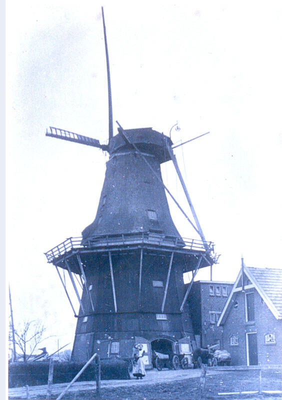 Molen van Aalfs Bergumerdam
