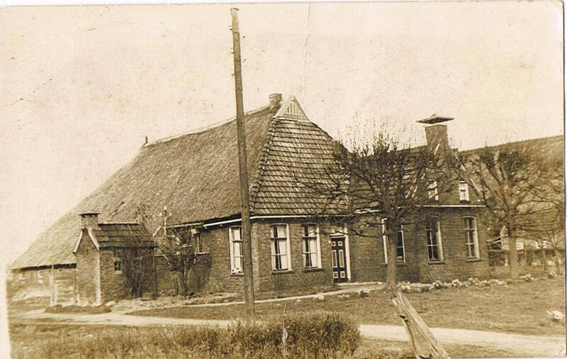 Greate Buorren 49 Sumar