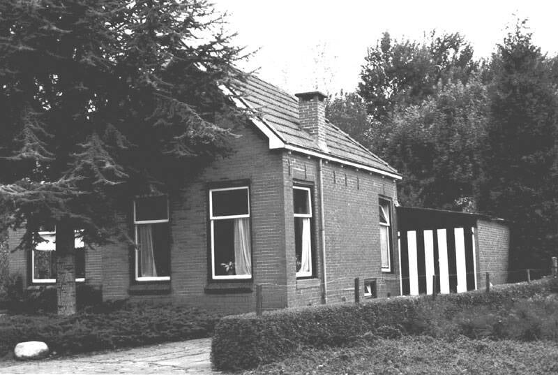 Damsingel 18 Sumar
