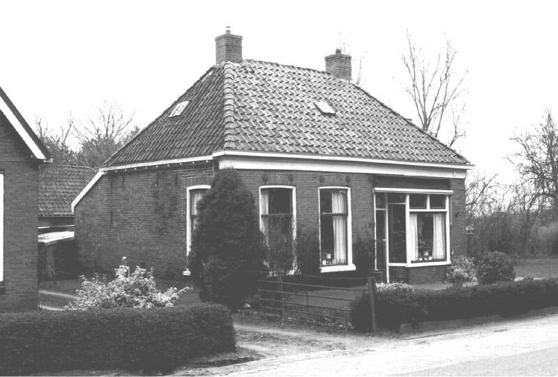 Damsingel 31 Sumar