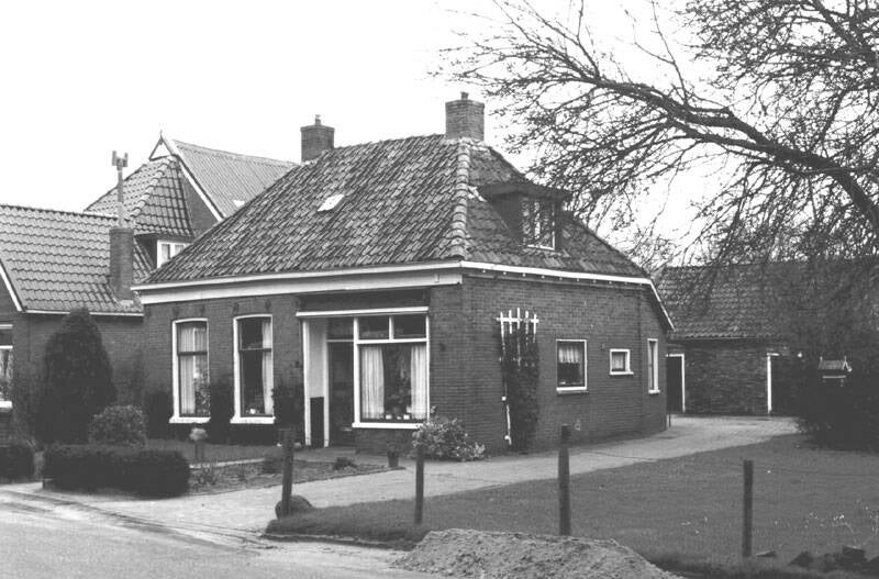 Damsingel 31 Sumar