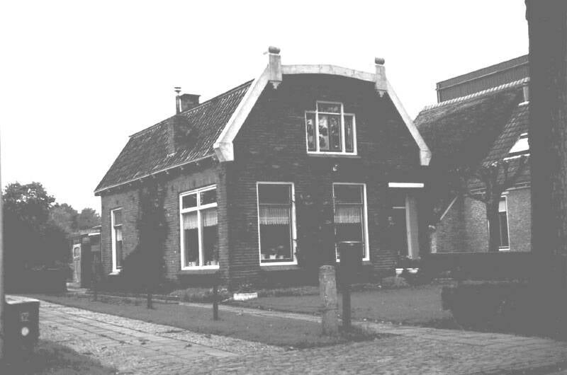 Damsingel 34 Sumar