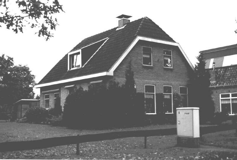 Damsingel 36 Sumar