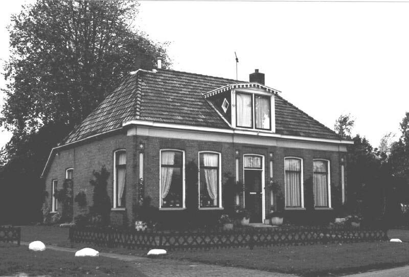 Damsingel 38 Sumar
