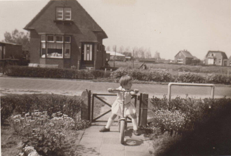 Damsingel 16 Sumar