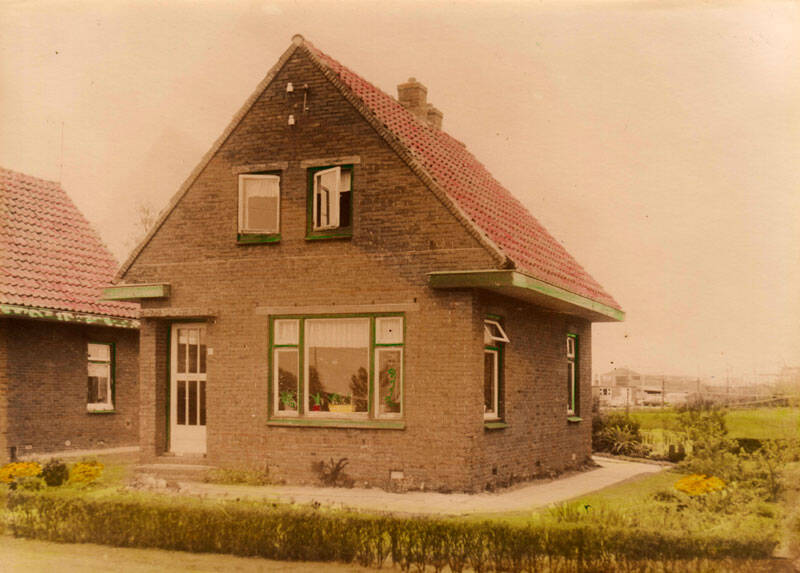 Damsingel 17 Sumar