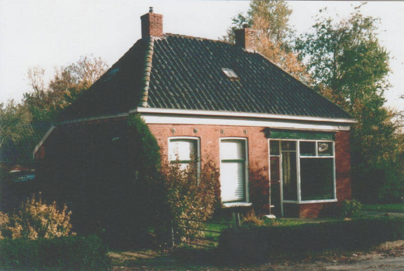 Damsingel 31 Sumar
