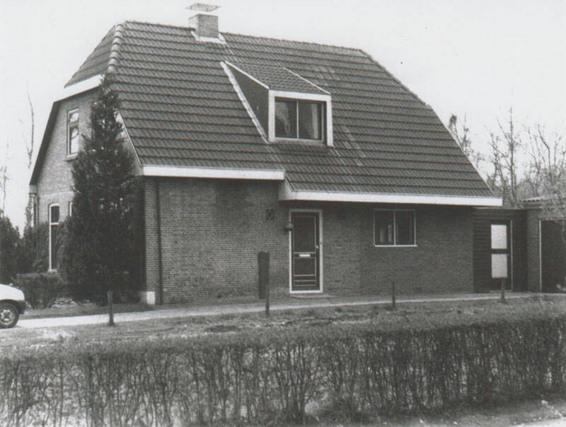 Damsingel 36 Sumar