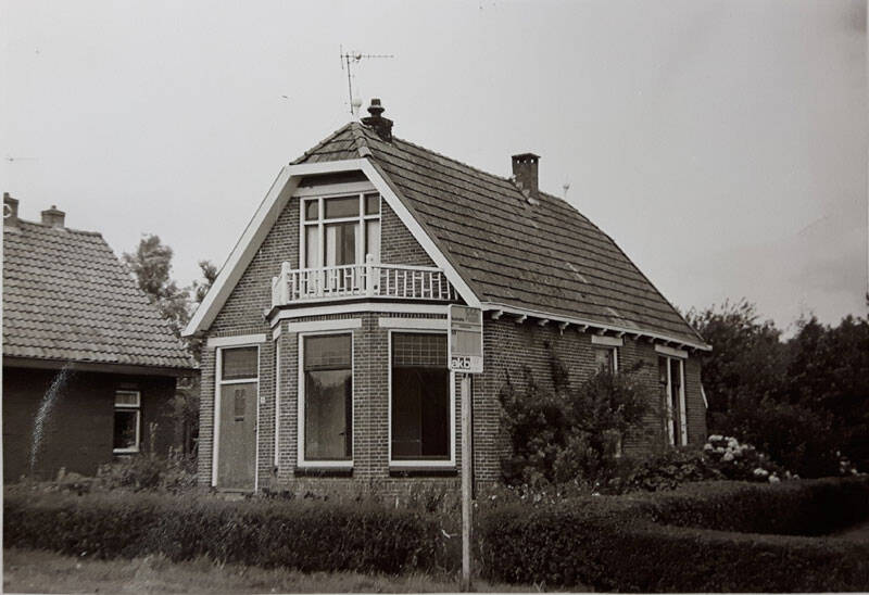 Damsingel 19