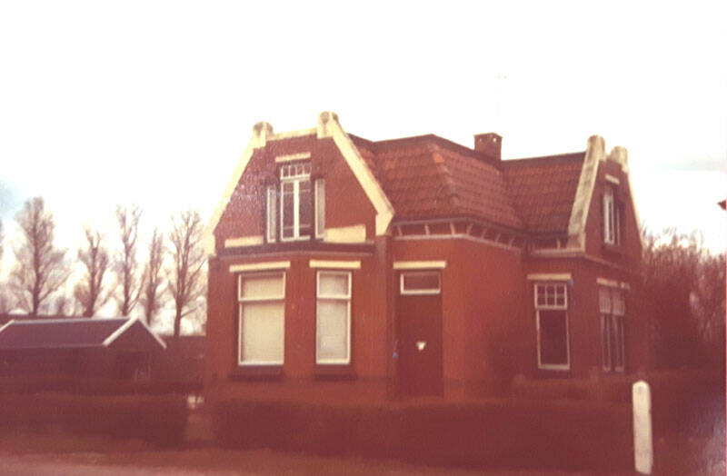 Damsingel 21 Sumar
