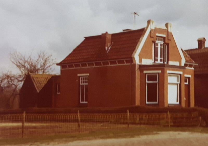Damsingel 21 Sumar