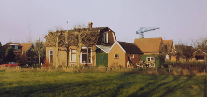 Damsingel 23 Sumar