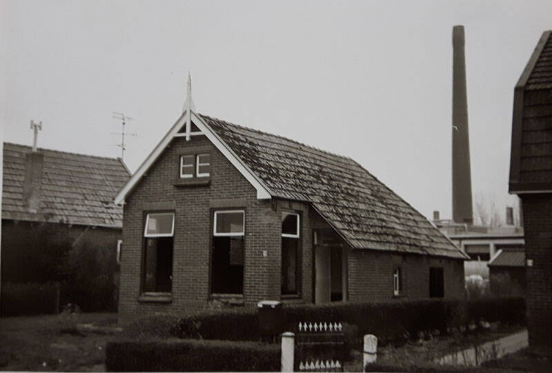 Damsingel 26 Sumar