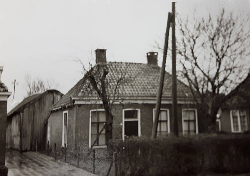 Damsingel 33 Sumar