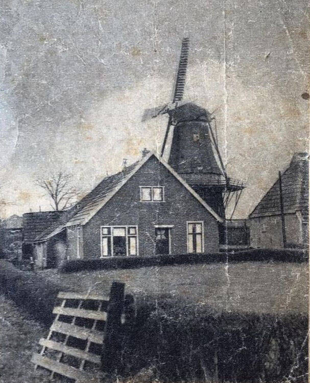 Korenmolen De Hoop Sumar