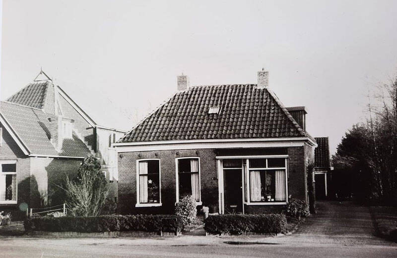Damsingel 31 Sumar