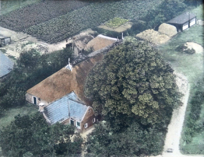 Jelke Sjoerdsloane 4 Sumar