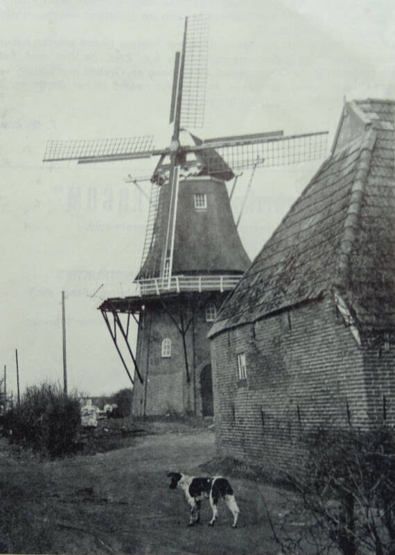 Korenmolen De Hoop Sumar
