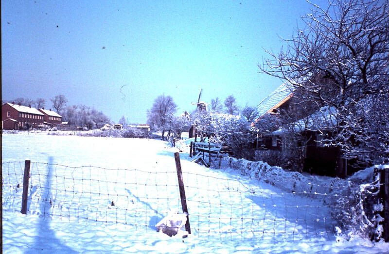 Jose Vigevenoweg Sumar