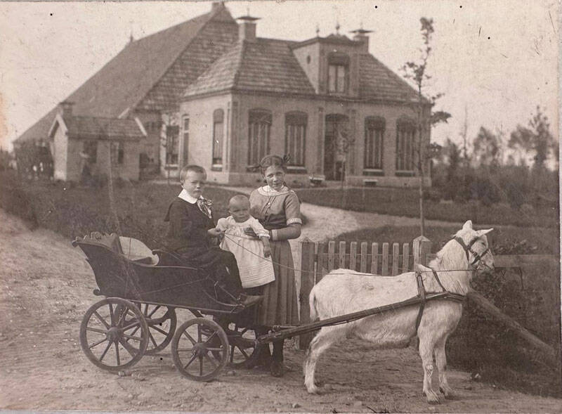 Lânsbuorren 11 Sumar