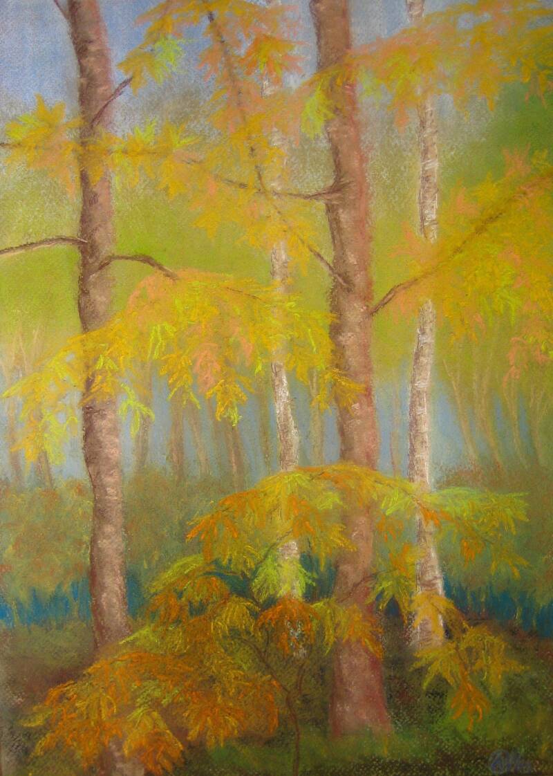 Herfstbos, pastelkrijt op papier, 42x29,7cm (verkocht)