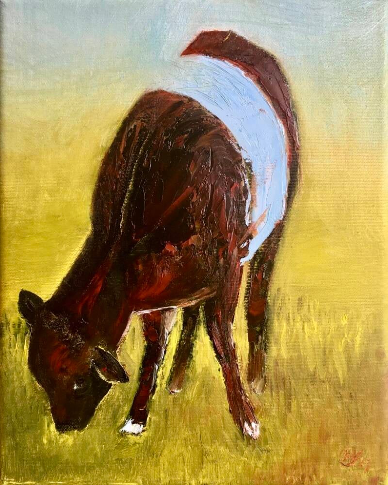 Lakenvelder kalfje, olieverf op doek, 30x24cm (verkocht)