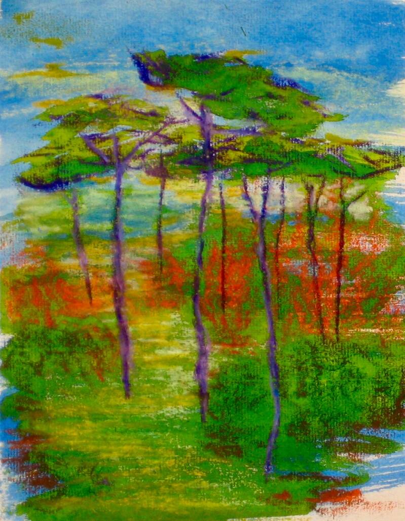 duinenschetsje, oliepastelkrijt en ecoline op papier, 20x15cm